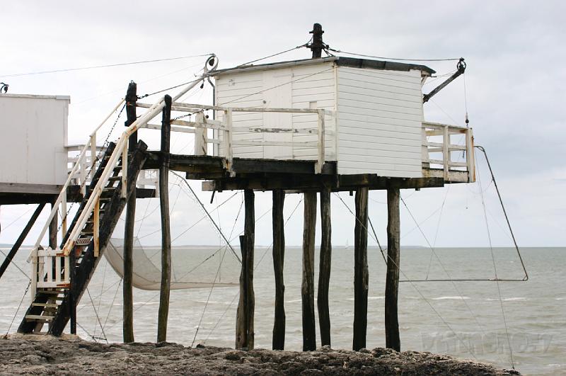 11-08-2008 595.jpg